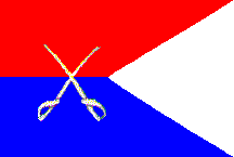 Personal Colors of General Custer 1866-1876